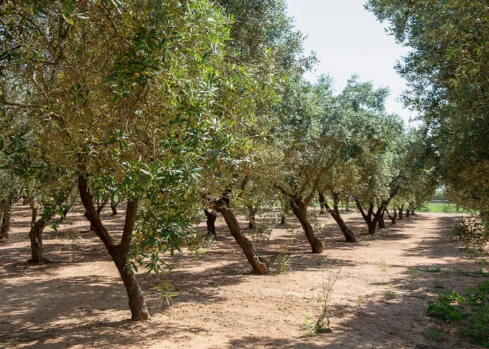 Çiftlik konaklama Naturalis Bio