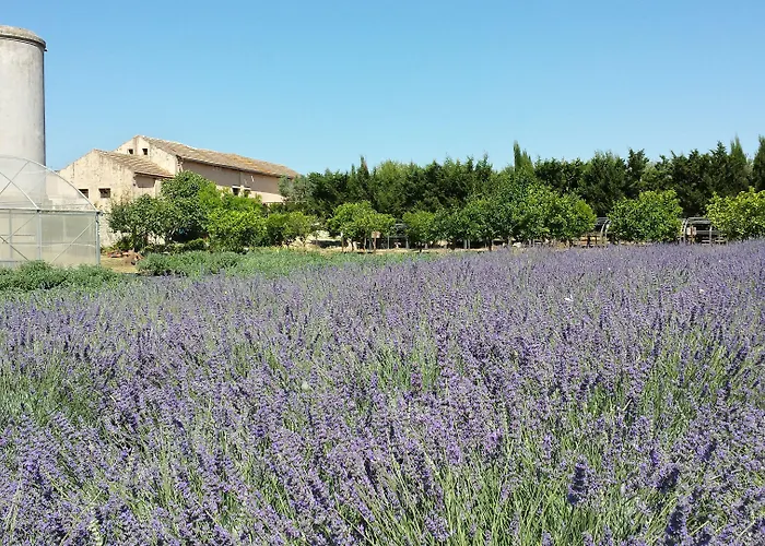Naturalis Bio Martano