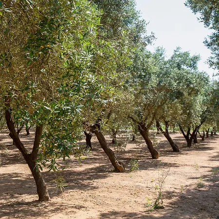 Alloggio per agriturismo Naturalis Bio