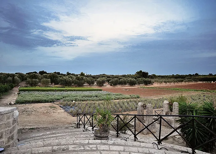 Naturalis Bio Agroturismo *